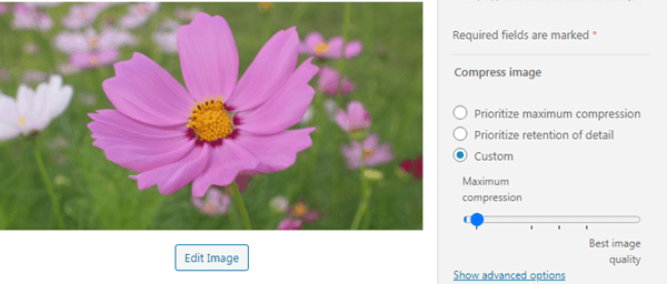 Wp-Optimize Image Plugin